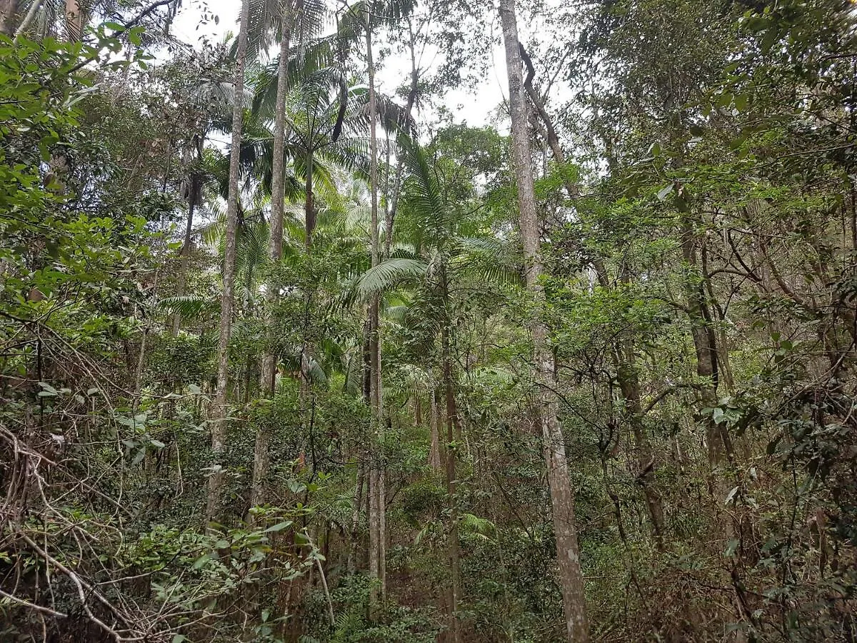 Starry Nights Luxury Camping Woombye Australie